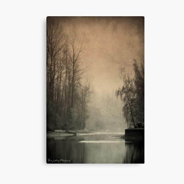 Passages of Everglades Canvas Print