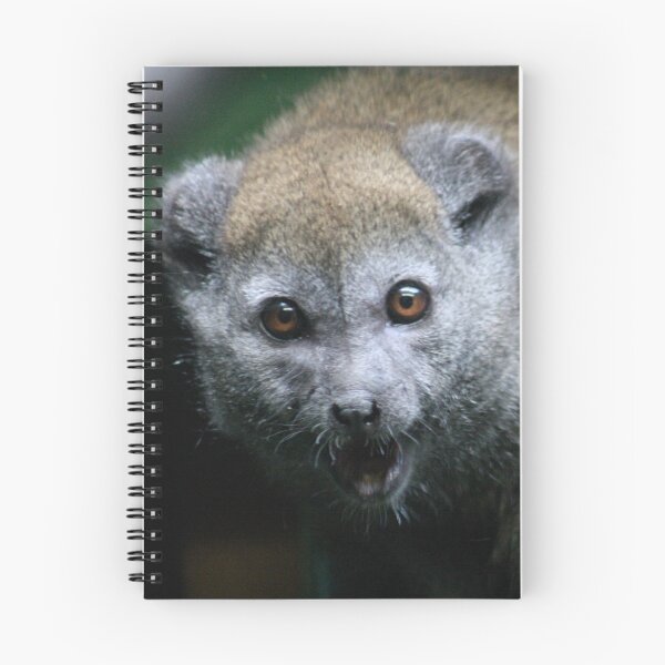 Item preview, Gentle Lemur designed and sold by Sheila Smith.