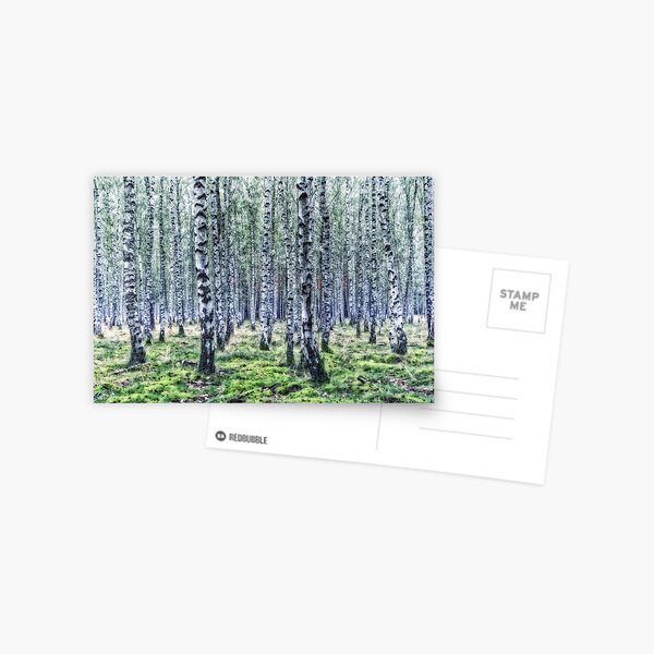 A place for fairy tales Postcard