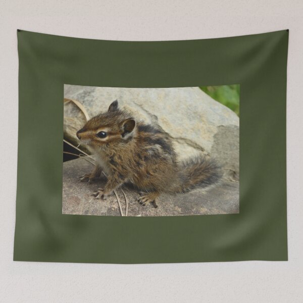 Item preview, CHIPMUNK designed and sold by Elaine Bawden.