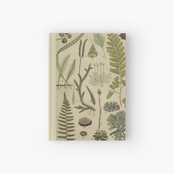 Ferns And Lichen Hardcover Journal
