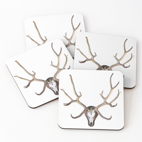 Item preview, Schomburgk's Deer Skull designed and sold by AHSstore.