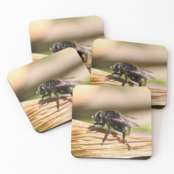 Item preview, Hoverfly designed and sold by GreyFeatherPhot.