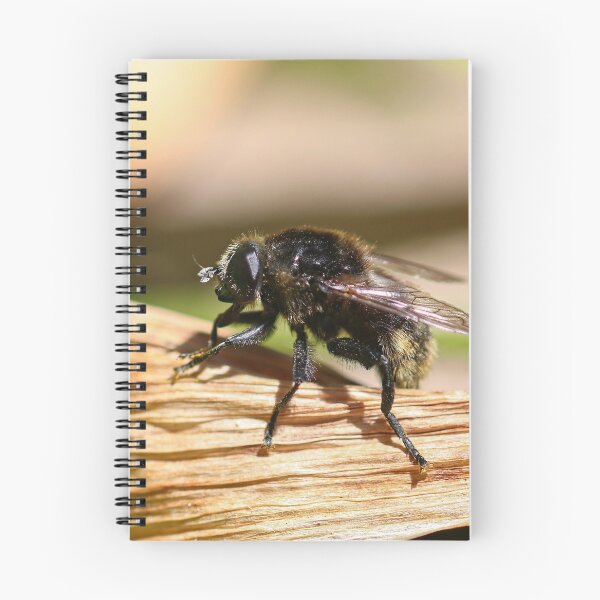 Item preview, Hoverfly designed and sold by GreyFeatherPhot.