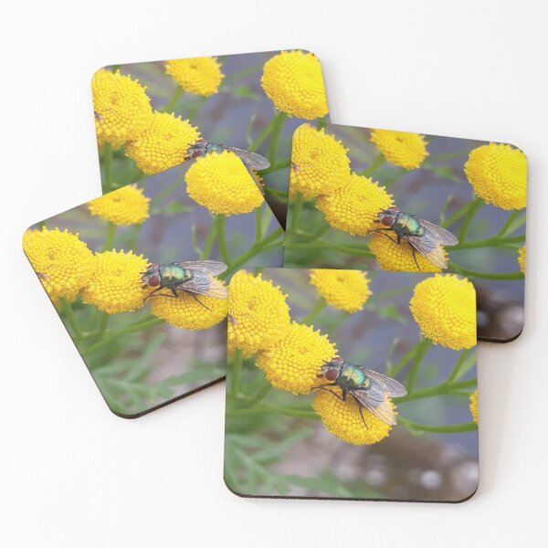 Item preview, Calliphoridae designed and sold by LittleRedToyota.