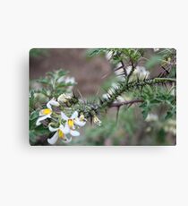 Defensive Canvas Print