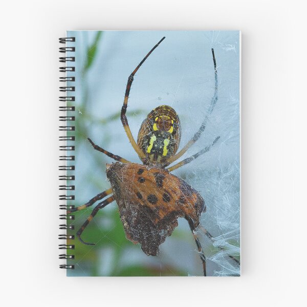 Item preview, Big Lucy Catches Butterfly. designed and sold by Brenda Burnett.