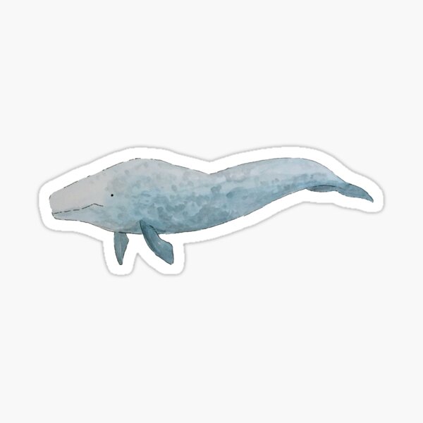 Watercolor Blue Whale Painting Sticker