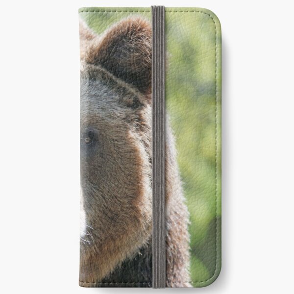 Bear's muzzle, terrible bear, brown bear, toed bear, bear iPhone Wallet