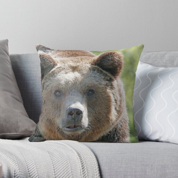 Bear's muzzle, terrible bear, brown bear, toed bear, bear Throw Pillow