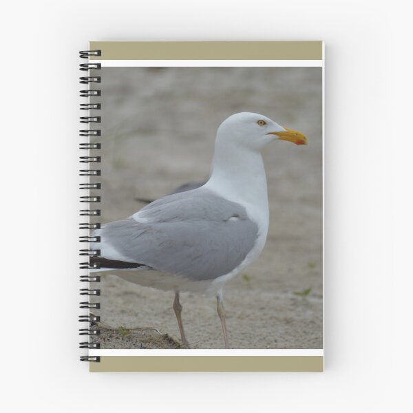Item preview, Lesser black-backed gull on the shore designed and sold by LizardSpirit.