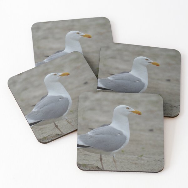 Item preview, Lesser black-backed gull on the shore designed and sold by LizardSpirit.