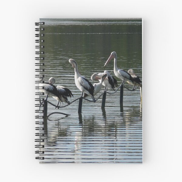 Item preview, Sunday Morning with the Pelicans designed and sold by sunrisecoast.