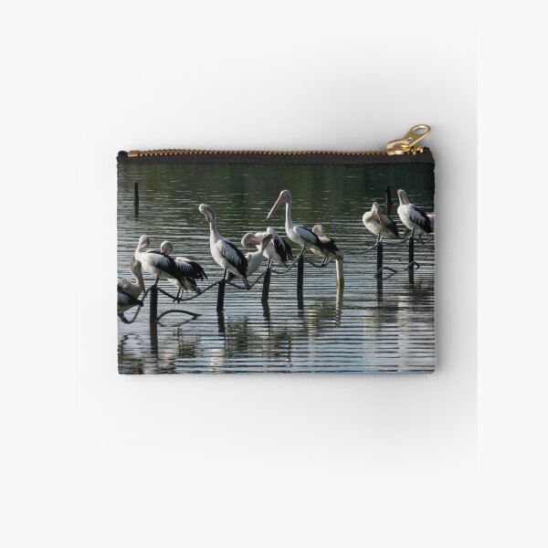 Item preview, Sunday Morning with the Pelicans designed and sold by sunrisecoast.