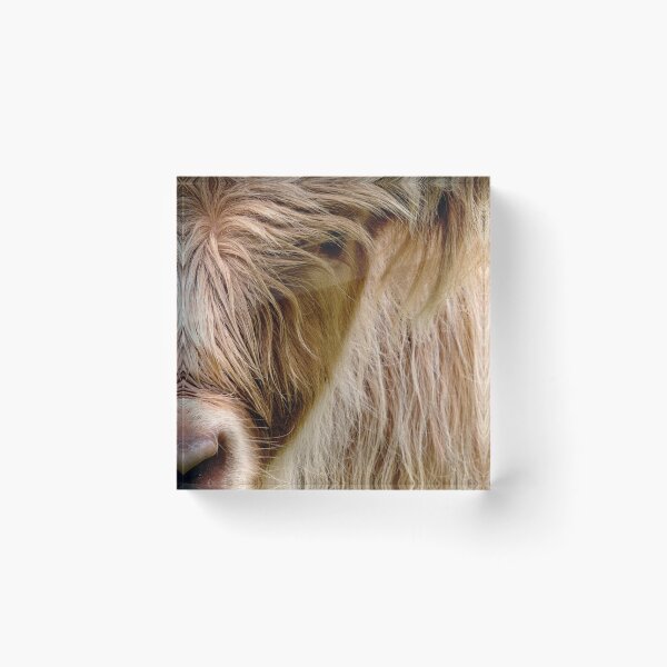 Item preview, Wooly Cow designed and sold by Marylou Badeaux.