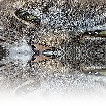 Artwork thumbnail, Puddah In Reflection by After 10 POD Designs