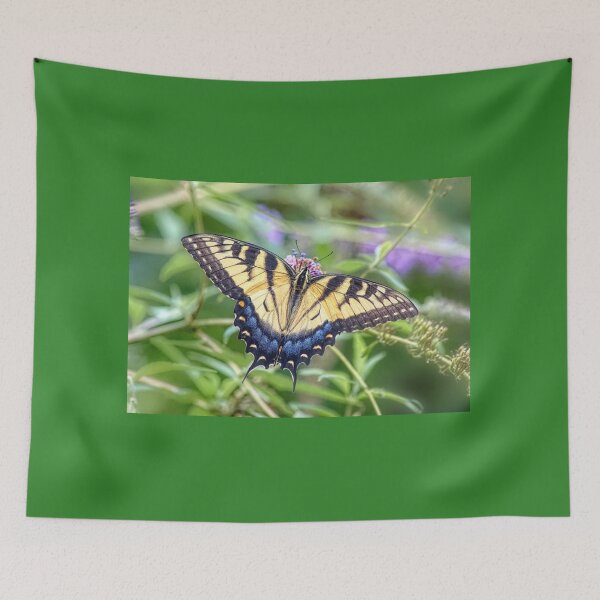 Item preview, Sharon The Swallowtail Butterfly  designed and sold by Lanis Rossi.