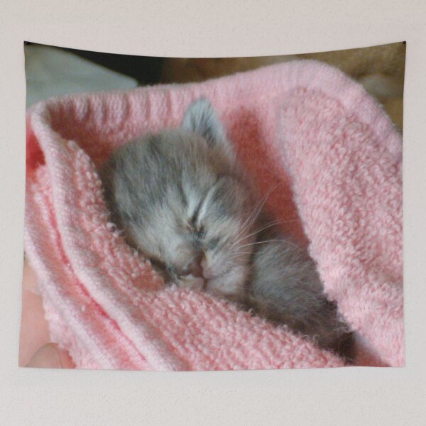 Item preview, Baby Puddah designed and sold by After 10 POD Designs.