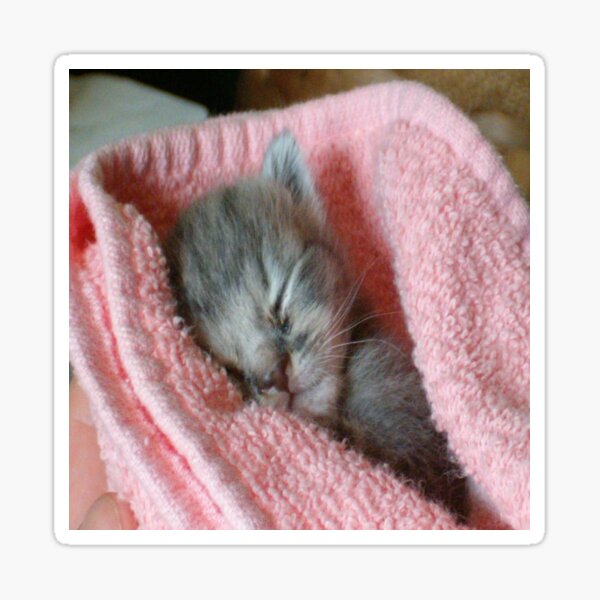 Baby Puddah Sticker