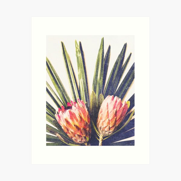 Item preview, Watercolor Proteas designed and sold by UrbanEpiphany.