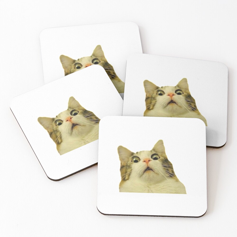 surprised cat meme Coasters (Set of 4)