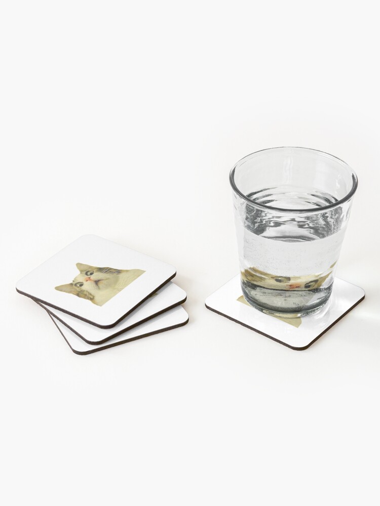 Alternate view of surprised cat meme Coasters (Set of 4)