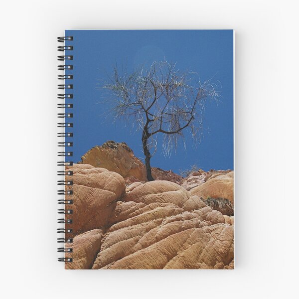 Item preview,  Michael Lerner Lookout,NSW 2015-Lone Tree designed and sold by muz2142.