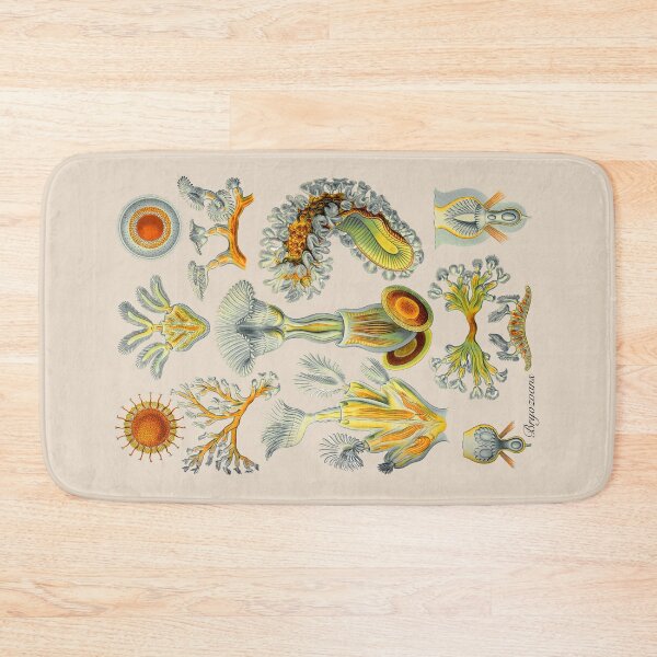 Item preview, Bryozoans, or 'moss-animals'. designed and sold by Squirrox.