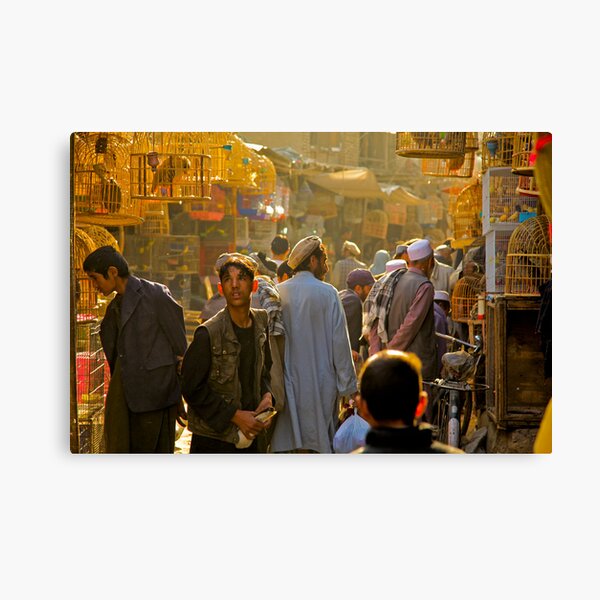 Bird St Canvas Print