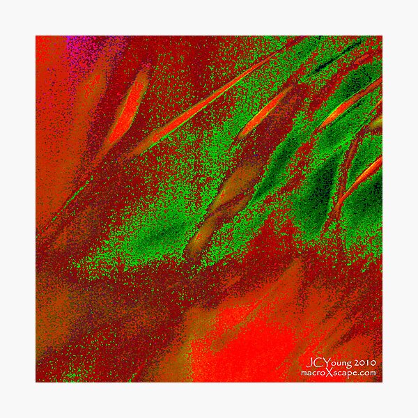 X'mas in the Air Photographic Print