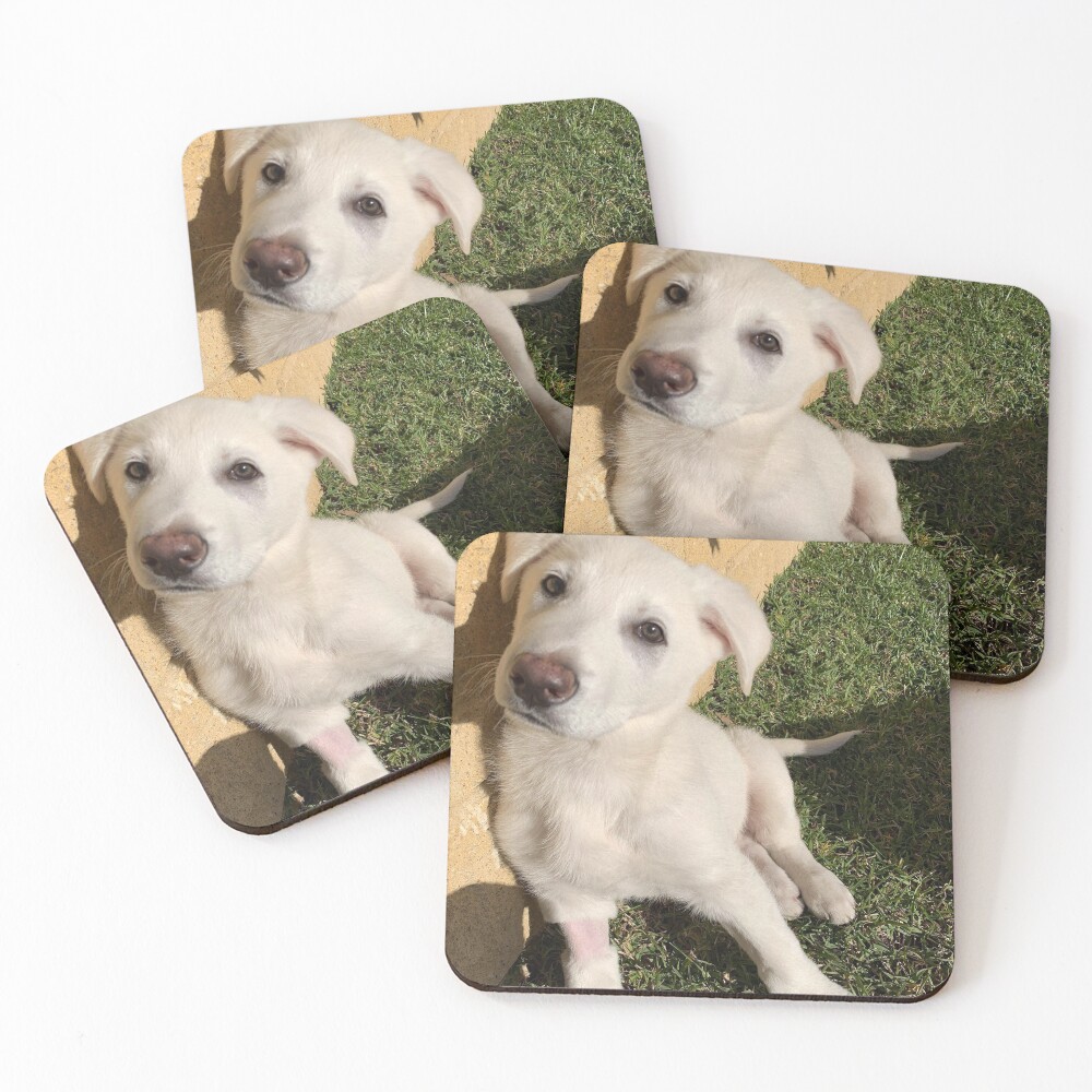 Casars 2 Coasters (Set of 4)