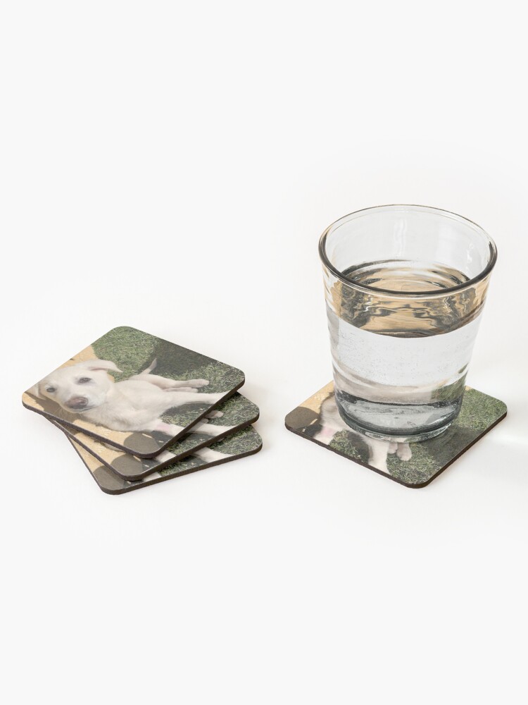 Alternate view of Casars 2 Coasters (Set of 4)