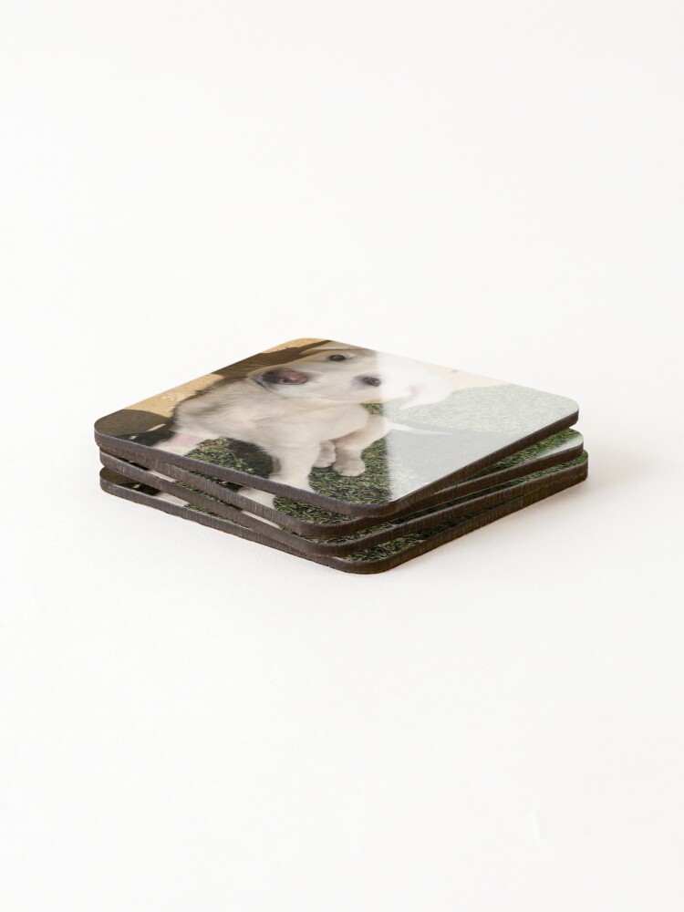 Alternate view of Casars 2 Coasters (Set of 4)