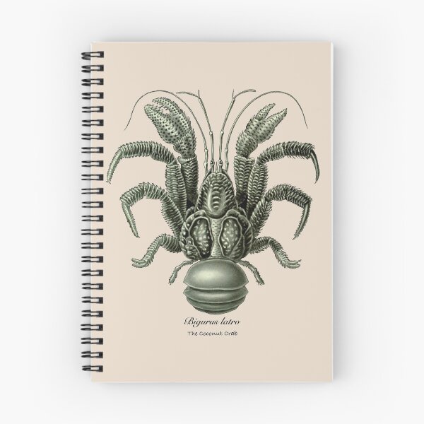Item preview, The coconut crab, Birgus latro. designed and sold by Squirrox.