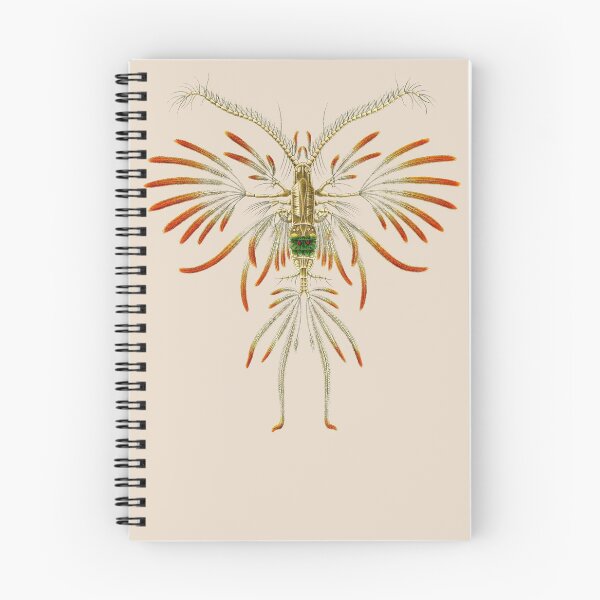 Item preview, A marine copepod. designed and sold by Squirrox.