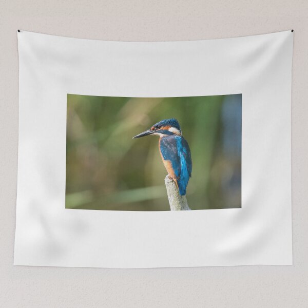 Item preview, Kingfisher designed and sold by HoundieLover.