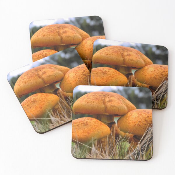 Item preview, Cortinarius in Orange designed and sold by Larry Davis.