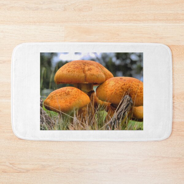 Item preview, Cortinarius in Orange designed and sold by Larry Davis.