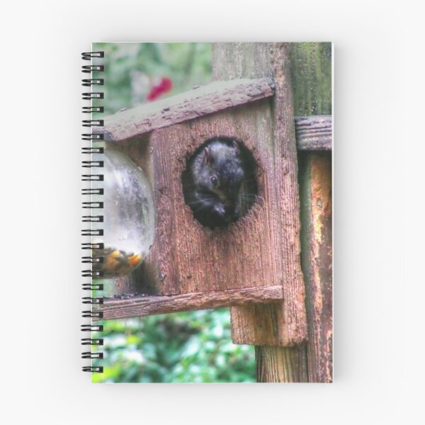 Item preview, Squirrel Buffet designed and sold by James Brotherton.