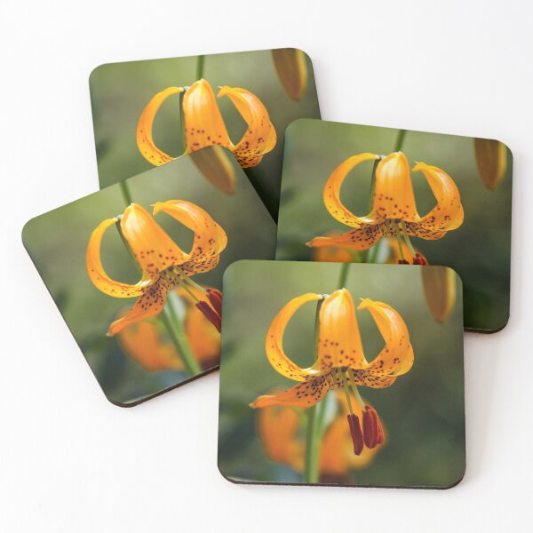 Item preview, Lilium canadense designed and sold by Perggals© - Stacey Turner.