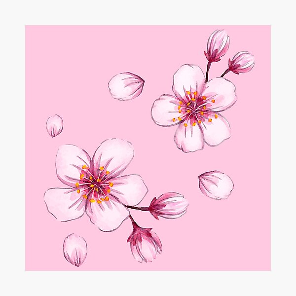 Item preview, Pink Watercolor Cherry Blossom Pattern designed and sold by parazitgoodz.