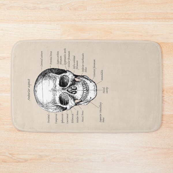 Item preview, The main bones of the human skull. designed and sold by Squirrox.