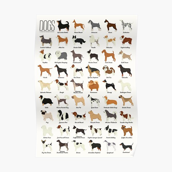 Dog Breeds Poster
