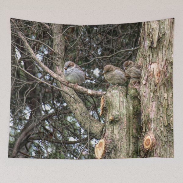 Item preview, Sparrows 3 designed and sold by Barry W  King.