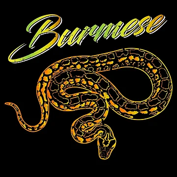 Artwork thumbnail, Snakes Python lovers by torlei565