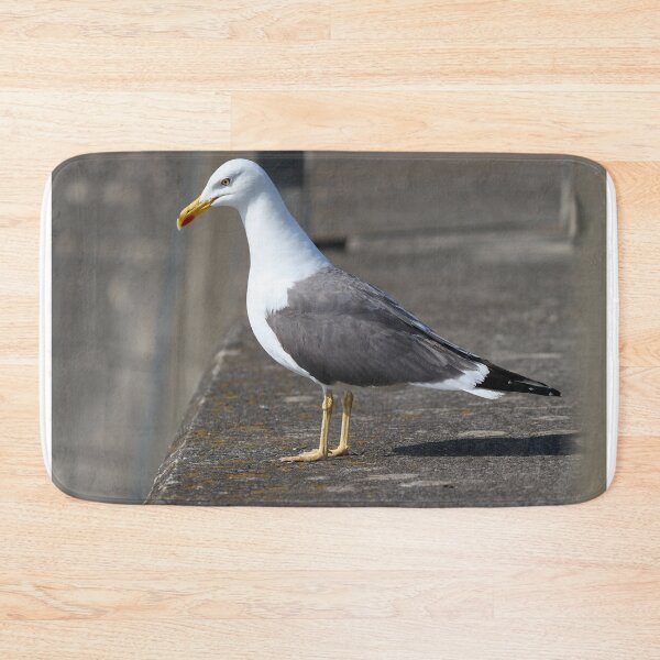 Item preview, Lesser-black backed gull designed and sold by GreyFeatherPhot.