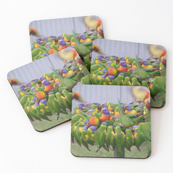 Item preview, HEY! Make room for me.  Rainbow Lorikeets, at Goondiwindi.   designed and sold by RitaBlom.