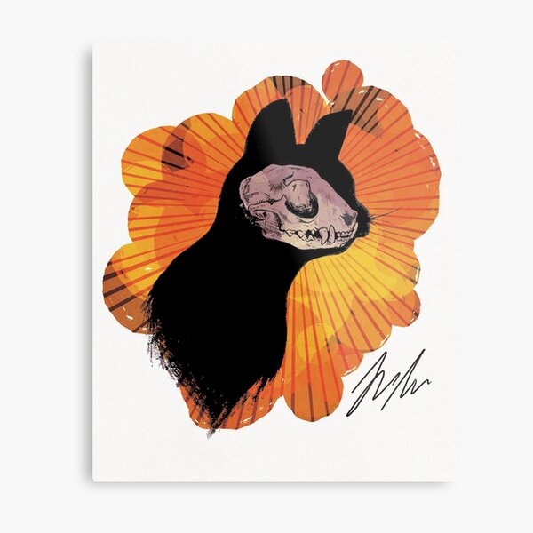 Cat Skull Metal Print