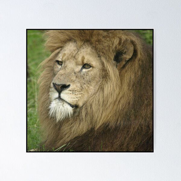 Item preview, The Boss - Battle Scars designed and sold by Michelle Booth.
