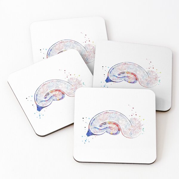 Item preview, Brain Pyramidal, Neurons, hippocampus designed and sold by Rosaliartbook.